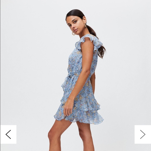 Mink pink blue floral dress - Picture 3 of 5